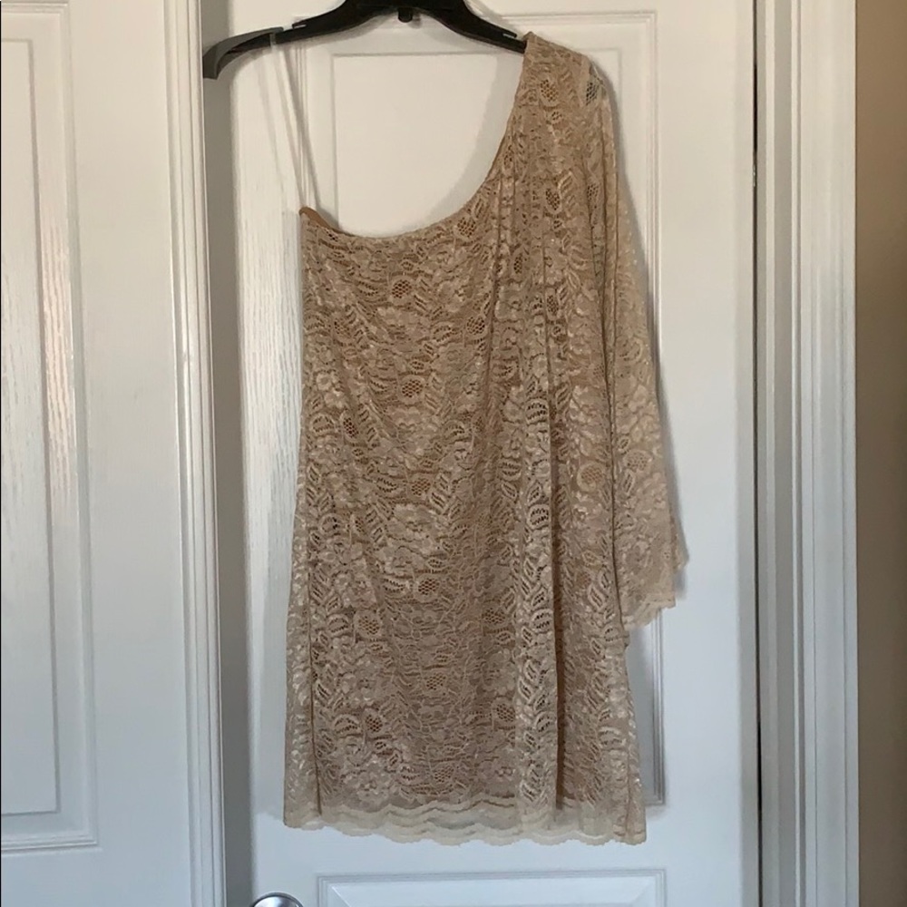 Lovely Day One Sleeve Lace Dress